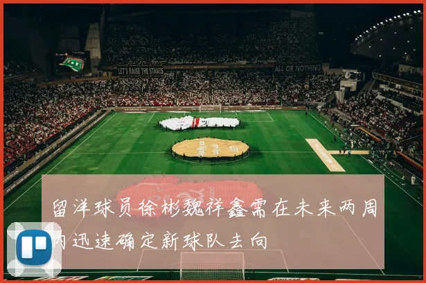 留洋球员徐彬魏祥鑫需在未来两周内迅速确定新球队去向