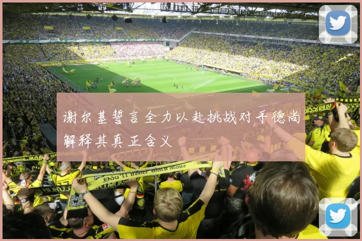 谢尔基誓言全力以赴挑战对手德尚解释其真正含义