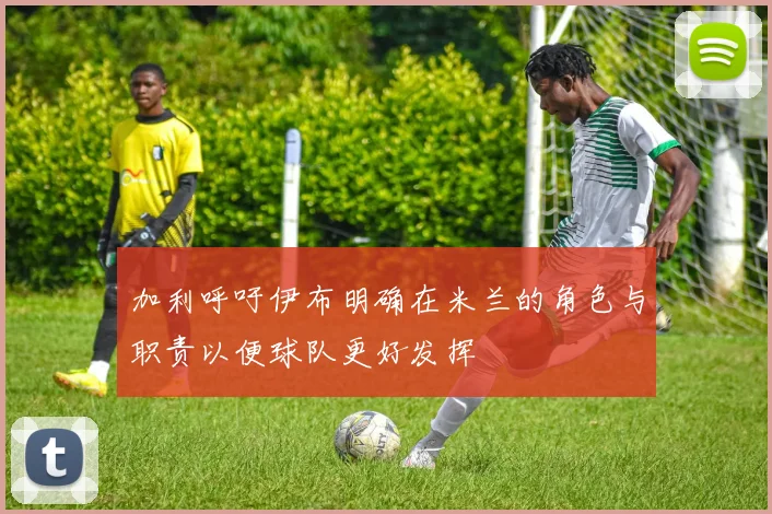 加利呼吁伊布明确在米兰的角色与职责以便球队更好发挥